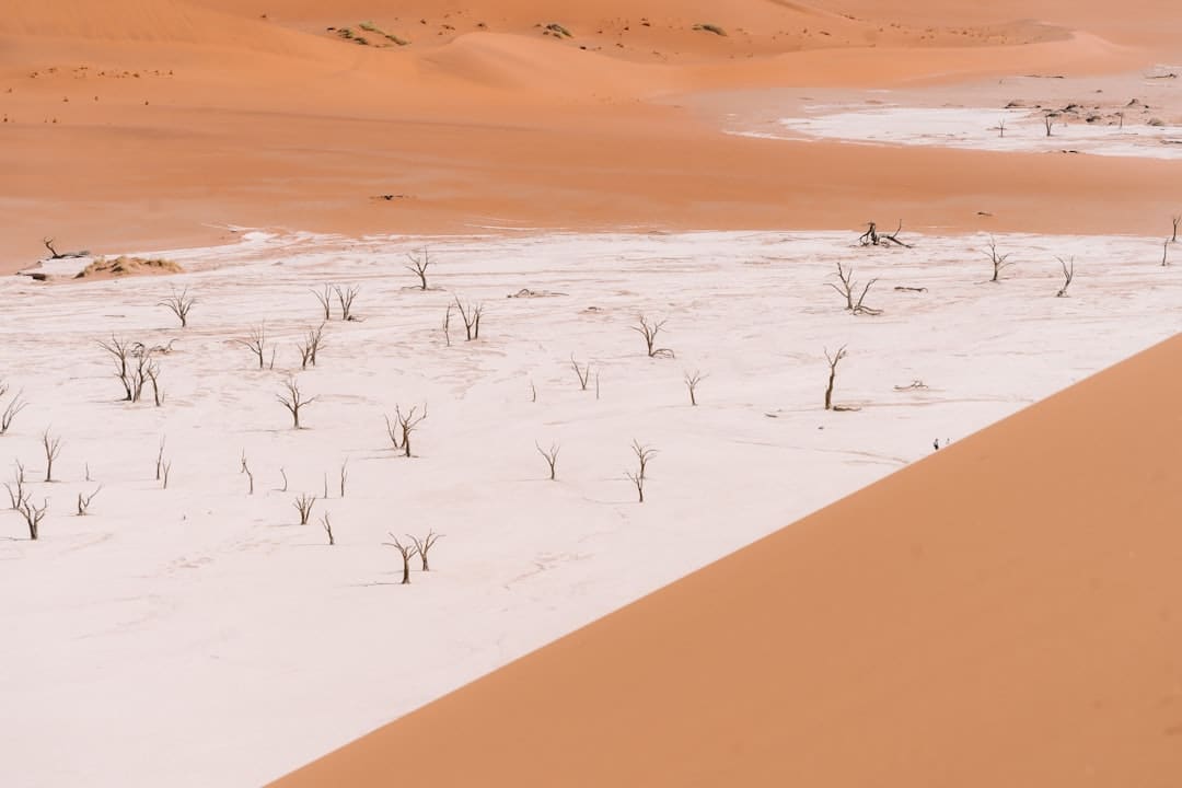 http://www.kcrea.cc/skin/default/image/zoomin.gif